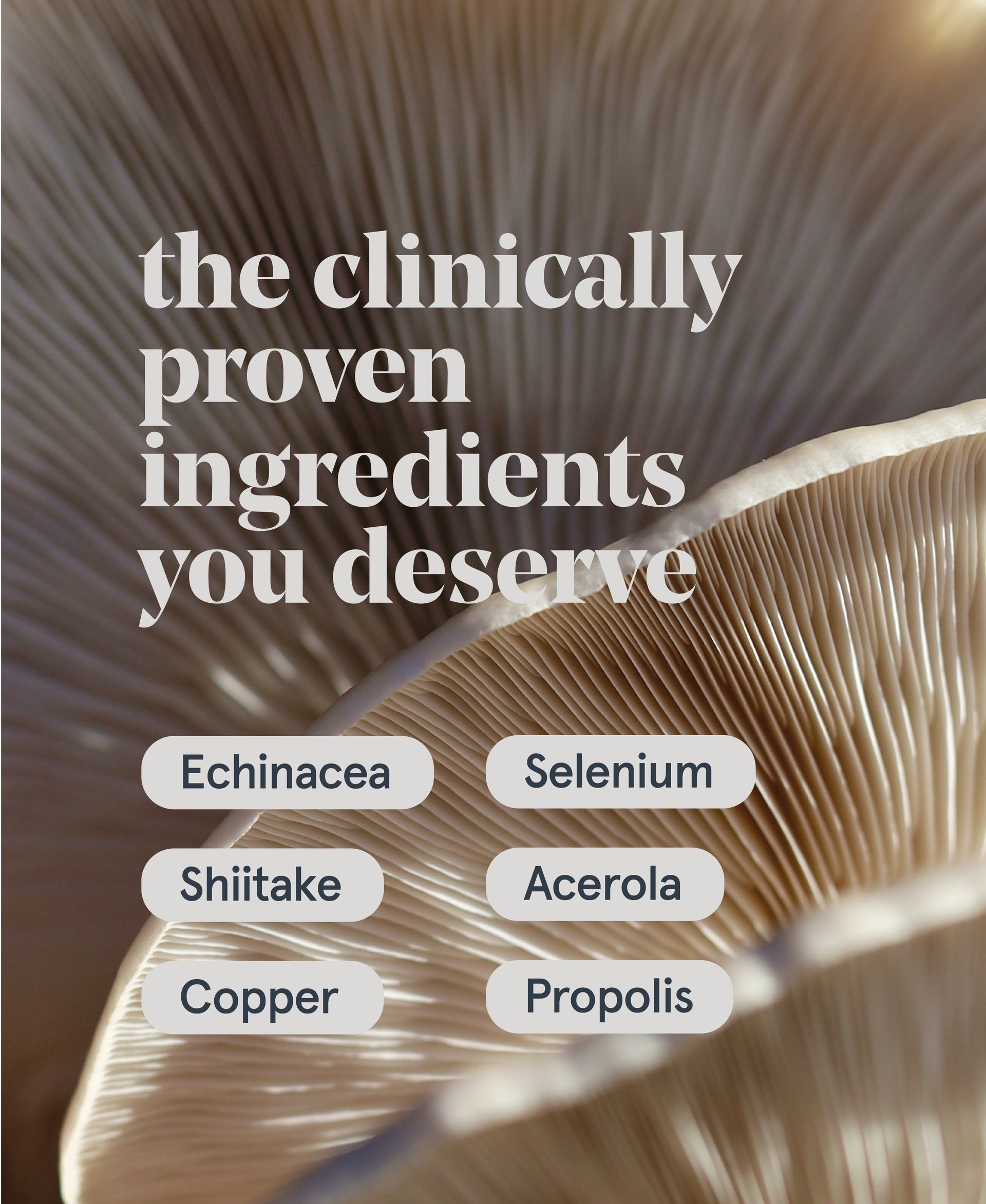 Immune Support