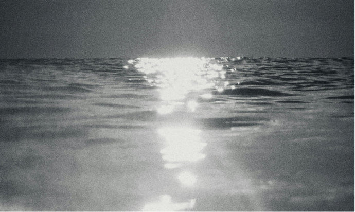 Liver Health and the Circadian Rhythm