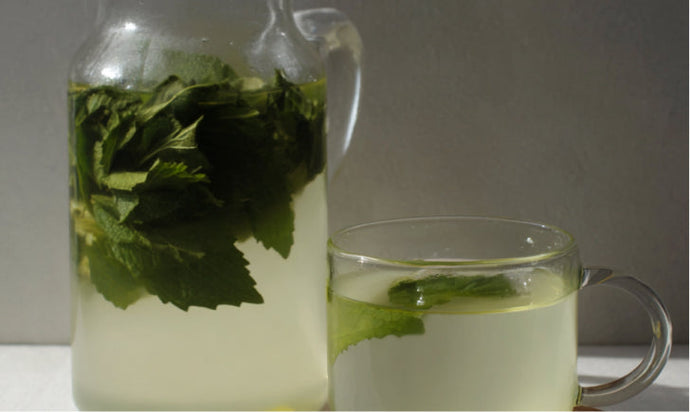 Kidney Cleanse Tea: Benefits, Ingredients, and Liver Detox Alternatives