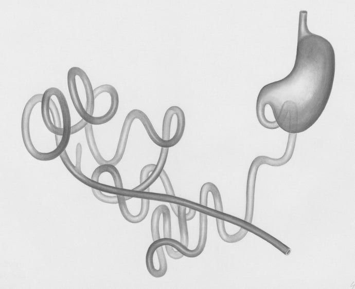 Leaky Gut and Liver Disease: Early Warning Signs, Root Causes and Steps to Heal Both