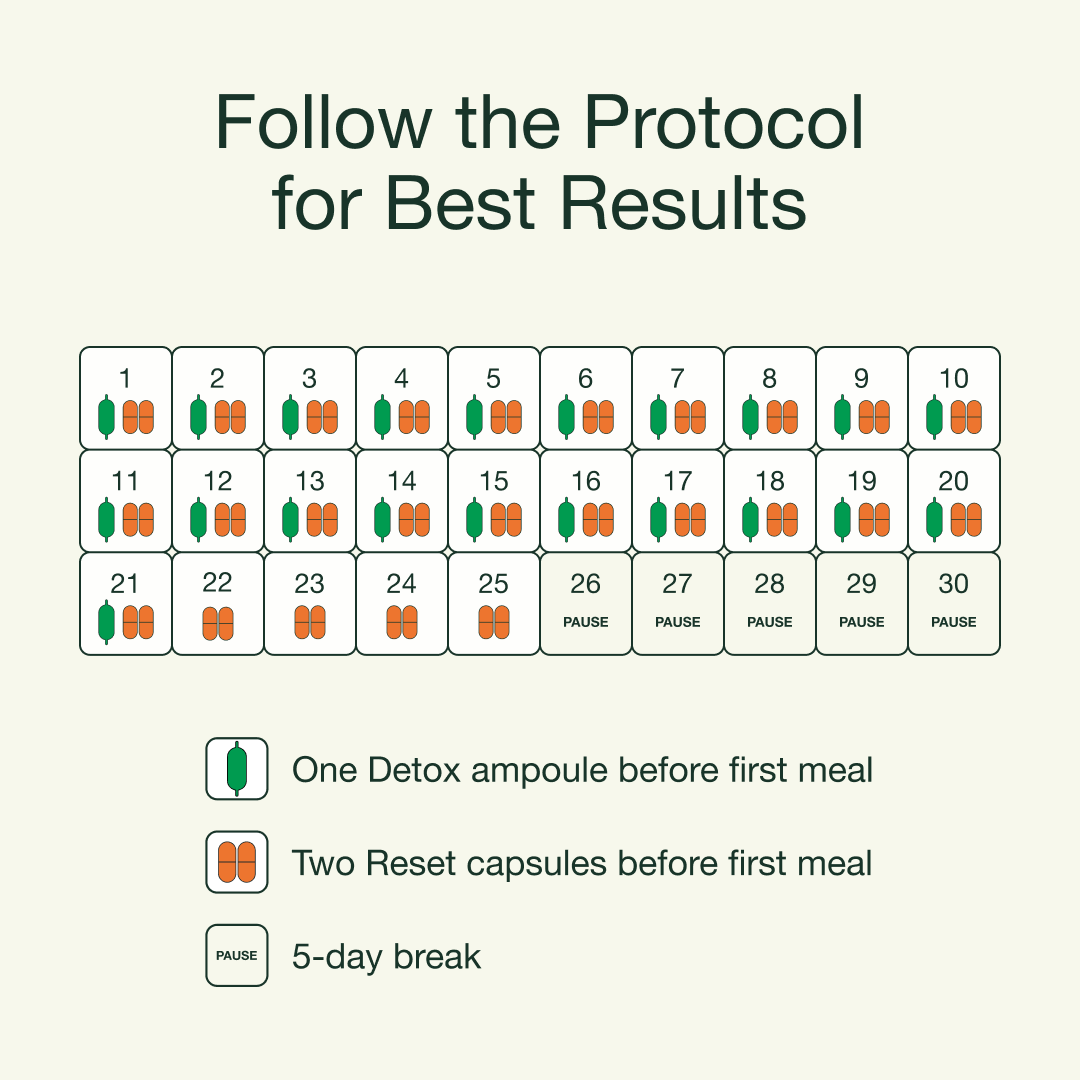 Fatty Liver Protocol