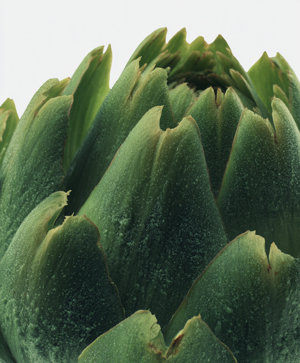 Artichoke